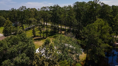 3598 Steamer Trace Rd, Conway, SC 29527 - photo 3