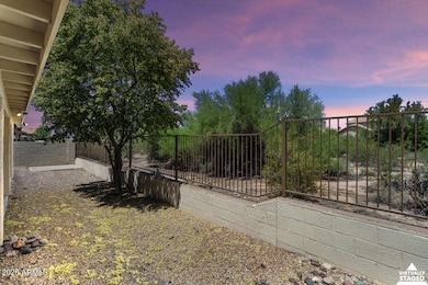 37-Backyard