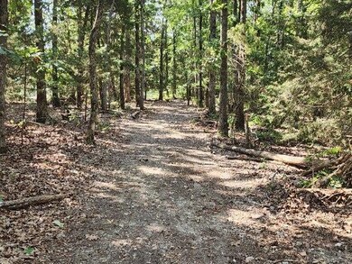 image000002 (34)