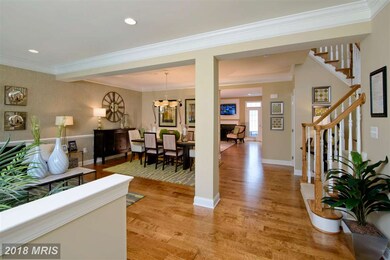 23212 Evergreen Ridge Dr, Ashburn, VA 20148 - photo 2