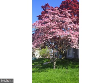 131 Haddon Ave, Collingswood, NJ 08108 - photo 3