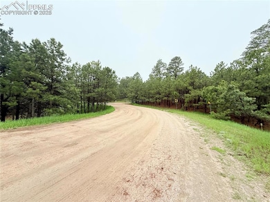 View of dirt / gravel road with a view of trees