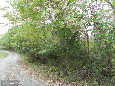 0 Jamestown Rd unit 1003748948, Summit Point, WV 25446 - photo 4