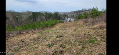 0 Lot 77 Saddleback Dr unit 1322776, Vonore, TN 37885 - photo 2