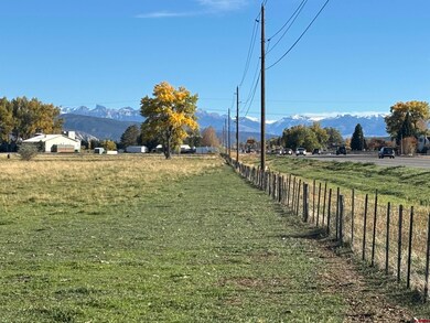 TBD Highway 550, Montrose, CO 81403 - photo 5
