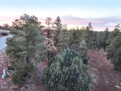 3400 Sage Ln, Show Low, AZ 85901 - photo 6