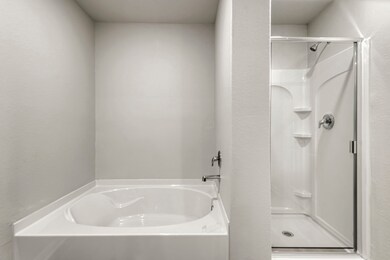 The luxurious primary bathroom has a soaking tub,