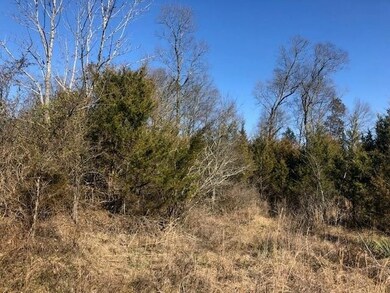 0 Highway 64 E unit RTC2352975, Shelbyville, TN 37160 - photo 7