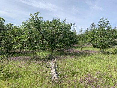 c9a30fac01eea00c-photo