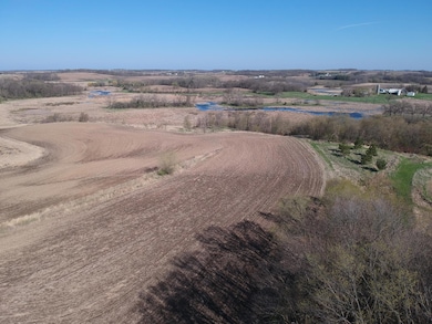 TBD Lake Ave, Shieldsville Township, MN 56052 - photo 5