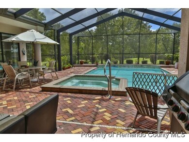 Pool, Spa, & Lanai