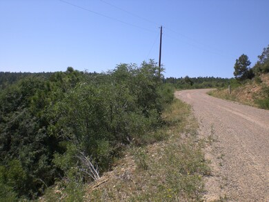 CIMG0824
