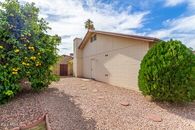 1419 W Meseto Ave, Mesa, AZ 85202 - photo 4
