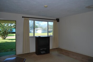 6517 Ned Dr, Jacksonville, FL 32216 - photo 3
