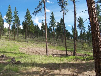Nhn Tranquil Valley Trail, Kila, MT 59920 - photo 6