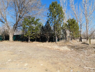 NYA Rowe Ave, Farmington, NM 87402 - photo 4