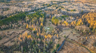 TBD Hwy 21, Babbitt, MN 55706 - photo 6
