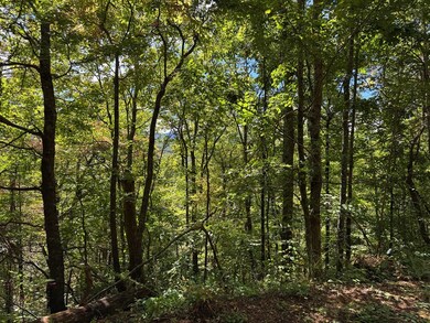 0 Burnt Leaf Ln unit 419226, Shooting Creek, NC 28904 - photo 3