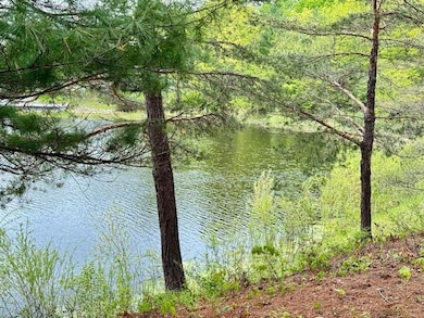 4682 Mohawk Trail, Gladwin, MI 48624 - photo 2