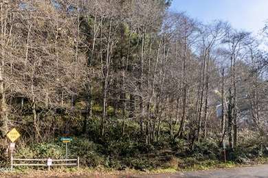 TL 3211 NE Williams Ct, Lincoln City, OR 97367 - photo 3