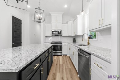 31860 Netterville Rd, Denham Springs, LA 70726 - photo 7