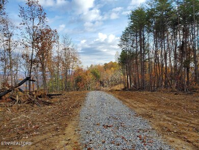 0 Bull Creek Lot H Rd, Huntsville, TN 37756 - photo 7