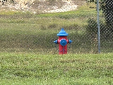 3427 Golden Gem Rd, Apopka, FL 32712 - photo 2