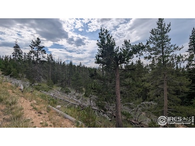 Adjoins National Forest on 2 sides