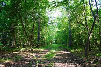 La 1071 unit LotWP001, Angie, LA 70426 - photo 6