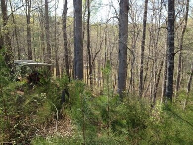 Lot 73 Waters Edge Ct unit 503 Waters Edge Ct., West Union, SC 29696 - photo 5