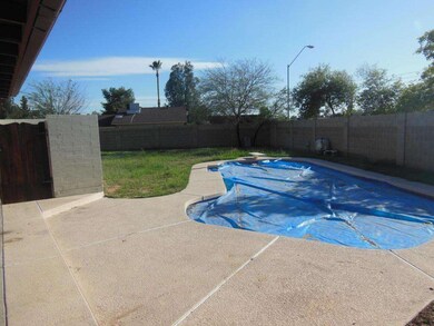 DIVE POOL