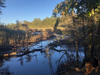 1401 Woodbine Rd, Woodbine, NJ 08270 - photo 7