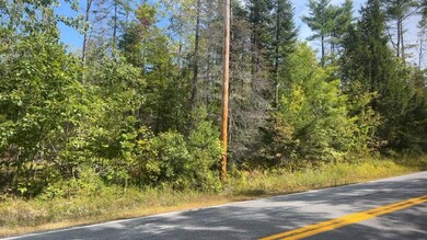 TBD Wakefield Rd, Newfield, ME 04095 - photo 2
