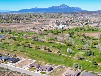Lot 22A Golf Course Ln, Cortez, CO 81321 - photo 4