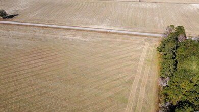 TBD Shelley Ln, Nichols, SC 29581 - photo 5