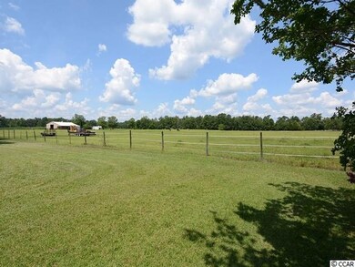 3655 Highway 19, Conway, SC 29526 - photo 4