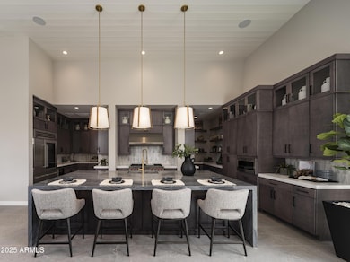 Merion_Grove_Desert_Sage_Kitchen_8777_co