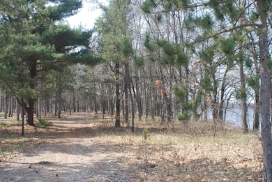 W4054 29th St, Necedah, WI 54646 - photo 5