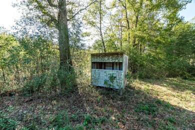 Parcel 1 Coppers Ford Rd, Tylertown, MS 39667 - photo 7