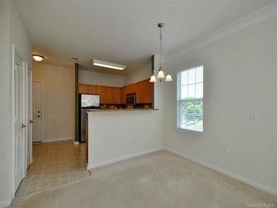 531 Appeldoorn Cir unit 531, Asheville, NC 28803 - photo 6