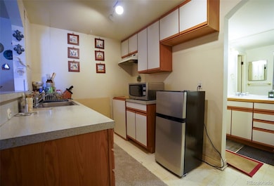 551 N Pearl St unit 205, Denver, CO 80203 - photo 4