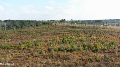 0 Grandview Ln SE, Bogue Chitto, MS 39629 - photo 7