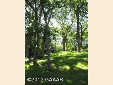 2825 Doe Run Ln SW, Farwell, MN 56327 - photo 3