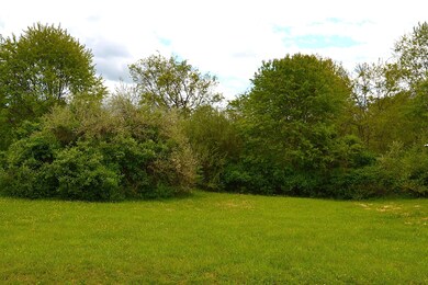 Land View