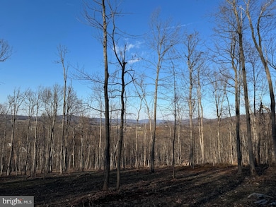 0 Digging Bear Ln unit VALO2111588, Purcellville, VA 20132 - photo 4