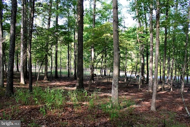 LOT 135 River Bend Dr, Paw Paw, WV 25434 - photo 2