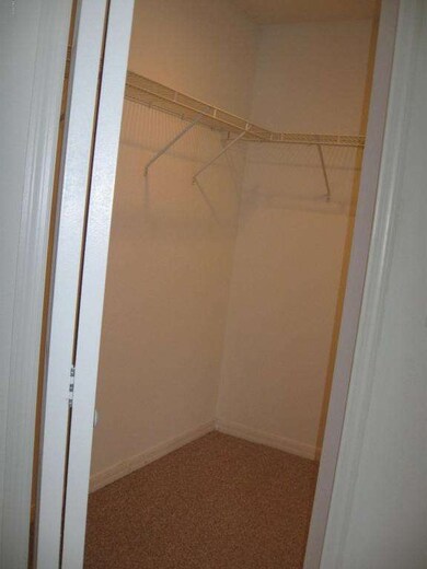 Master Walk in Closet