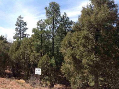 4650 S Manzanita Way, Show Low, AZ 85901 - photo 4