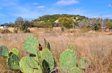 000 W Live Oak St unit 3, Fredericksburg, TX 78624 - photo 4