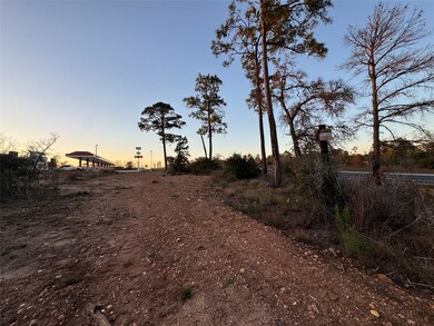 TBD State Highway 71, Bastrop, TX 78602 - photo 7